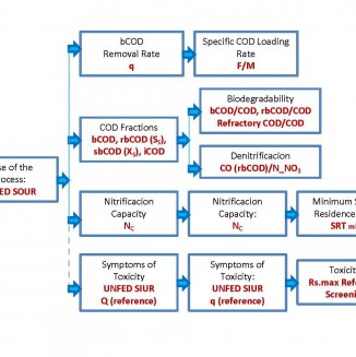 Respirometry Protocol 