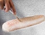 Cut 1 cm³ of the fish with a sterile scalpel