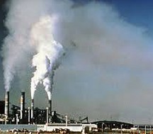 Environmental  Pollutants