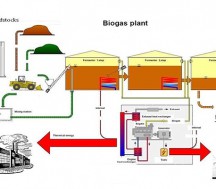 Biogas, Landfill and Digester Gas 