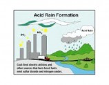 Acid Rain Monitoring