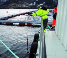 Fish welfare and efficient operations