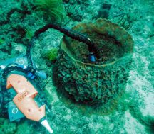 Aanderaa products have been used in oceanographic research for more than 50 years.